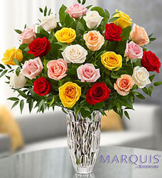 Marquis by Waterford <BR> Premium Assorted Roses Davis Floral Clayton Indiana from Davis Floral